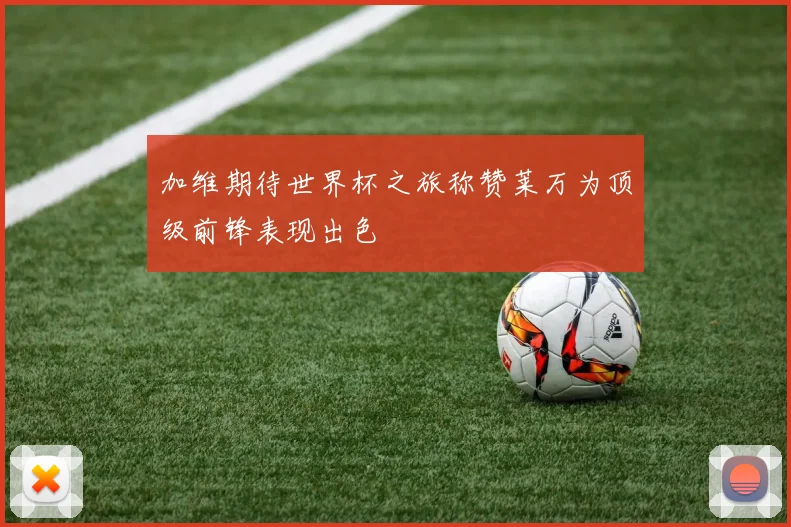 加维期待世界杯之旅称赞莱万为顶级前锋表现出色