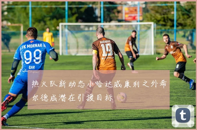 热火队新动态小哈达威康利之外希尔德成潜在引援目标